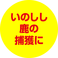 いのしし 鹿の 捕獲に