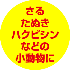 さる、たぬき、ハクビシン、などの小動物に